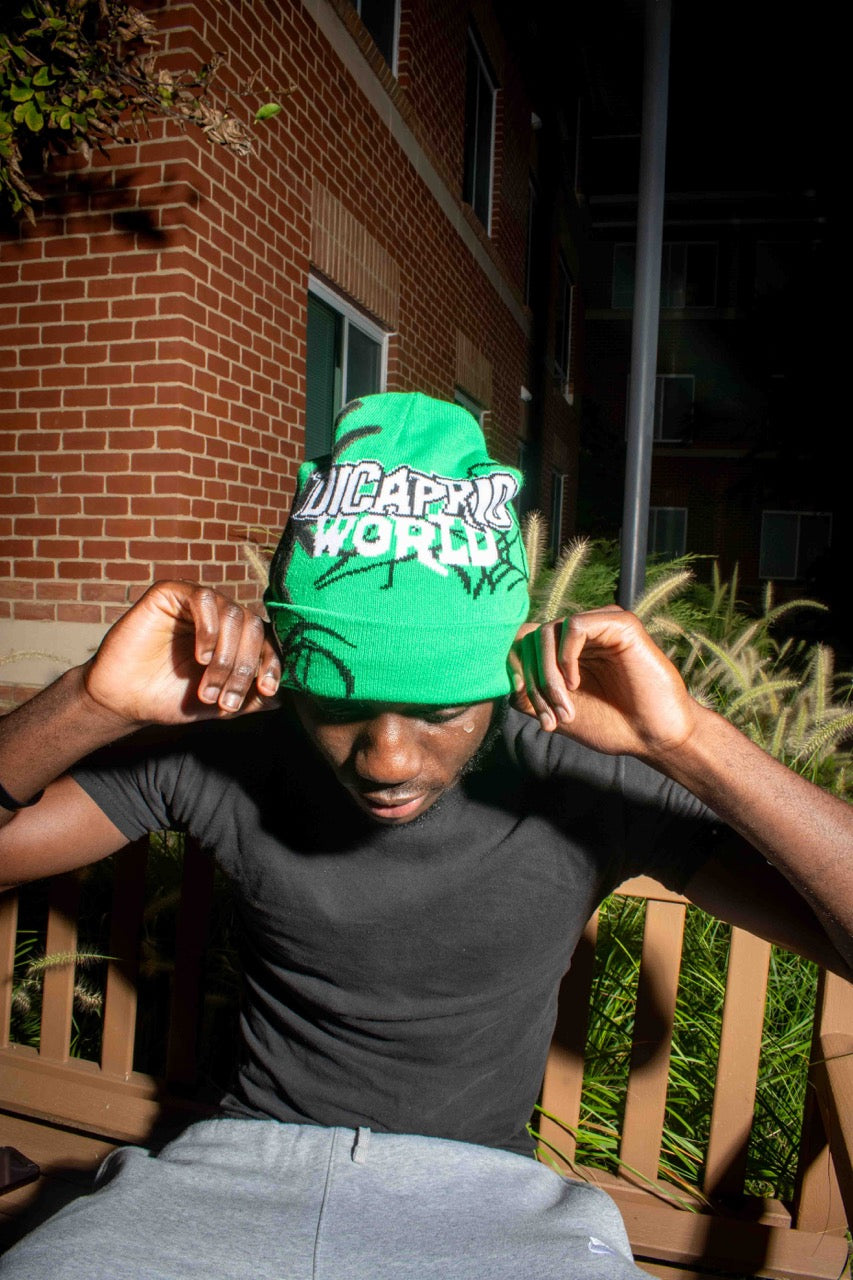 Emerald Green "The World is Yours" Beanie